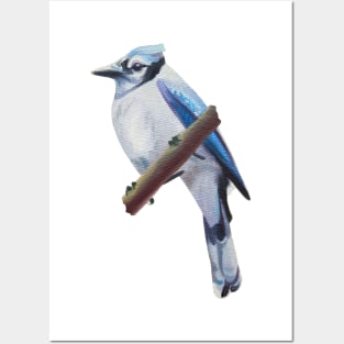 Prophet - blue jay painting (no background) Posters and Art